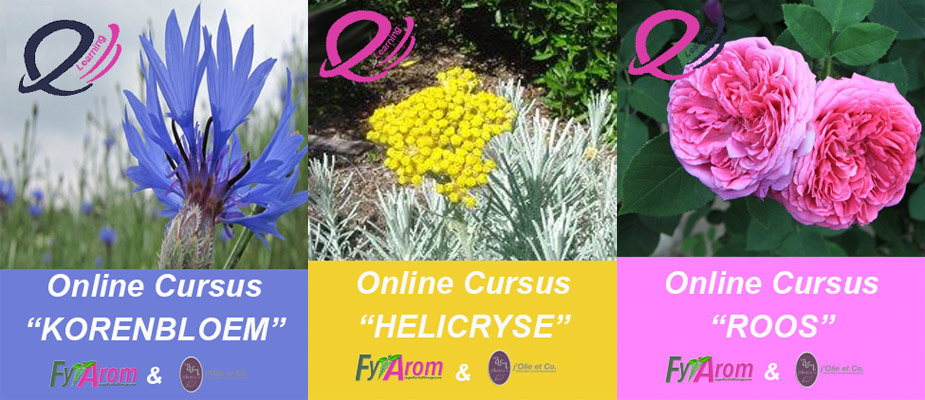 Online-Cursus-Hydrolaten