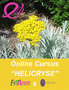 Online Cursus Hydrolaten 